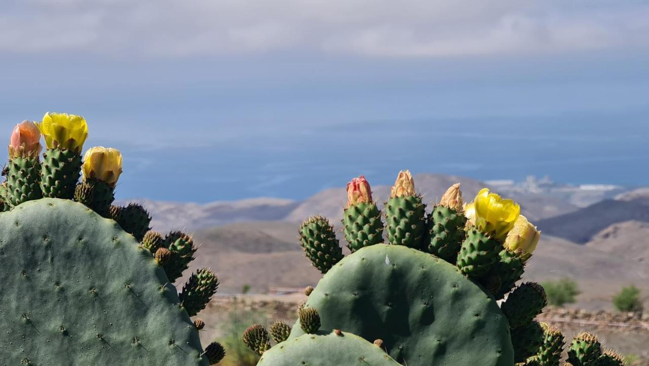 Puerto Rico Top Teide And Amadores View エクステリア 写真