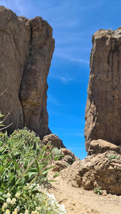 Puerto Rico Top Teide And Amadores View エクステリア 写真
