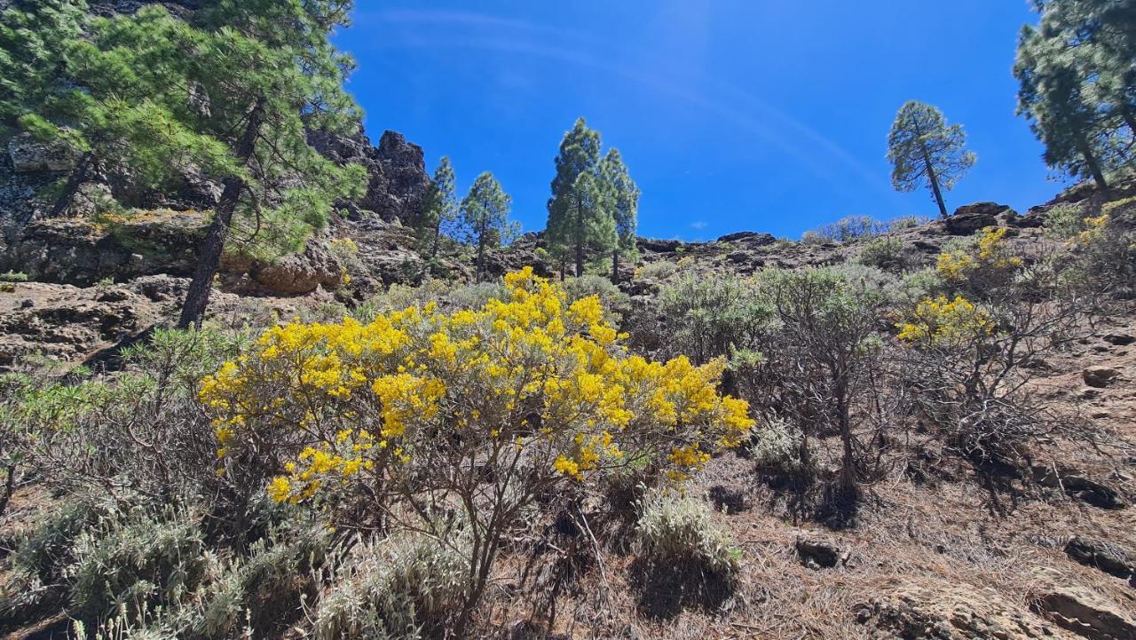 Puerto Rico Top Teide And Amadores View エクステリア 写真