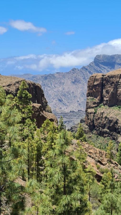 Puerto Rico Top Teide And Amadores View エクステリア 写真